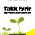 310x400_Styrkir