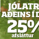 Husa_Jolatre-121218_Sunnlenska