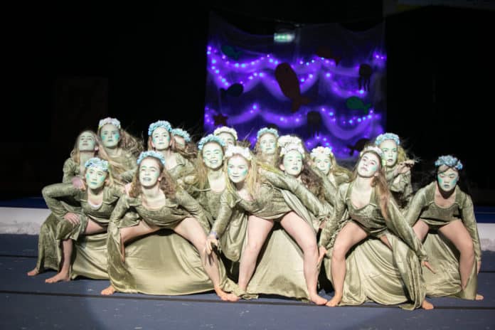 fimleikasyning2018 (5)