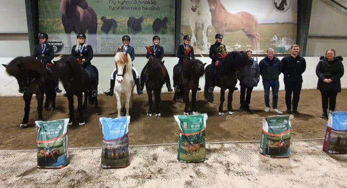 Suðurlandsdeildin atvinnumenn