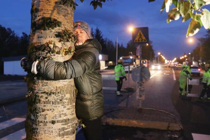 Aspir Austurvegur_8282 copy