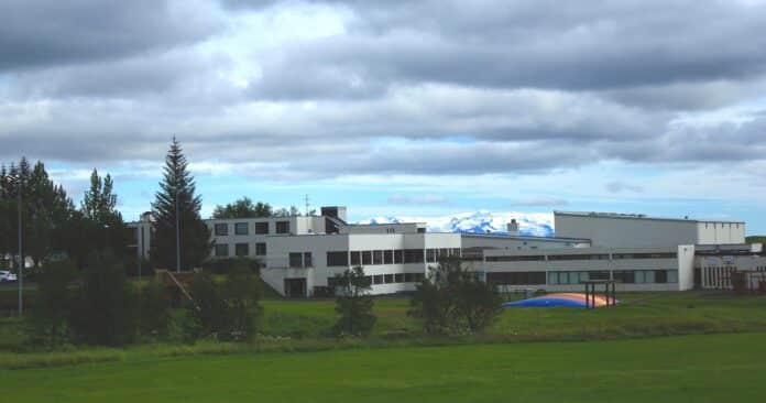 Ljósmynd/Skaftárhreppur