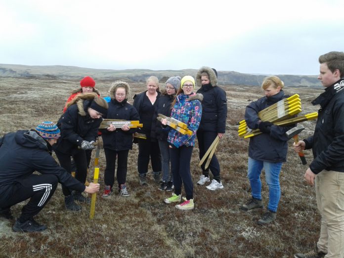 H__purinn_a___stika_233818437