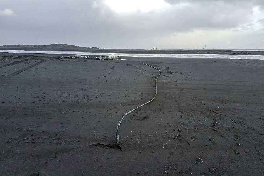 Hvalreki_Bakkafjara_feb_2017_722047133