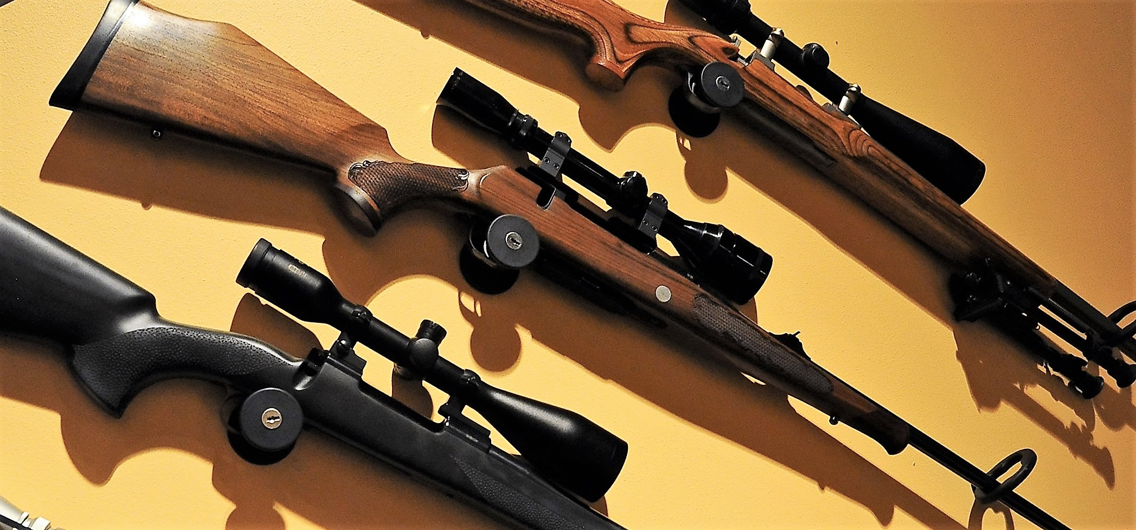 Prent_s__ning_2017_872716331