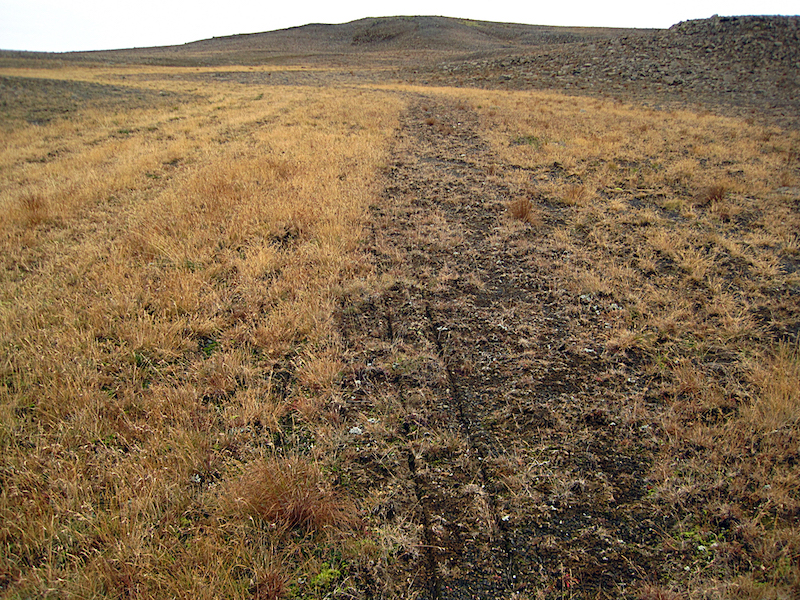 Seyra_hrunamannaafrettur_land_862209025