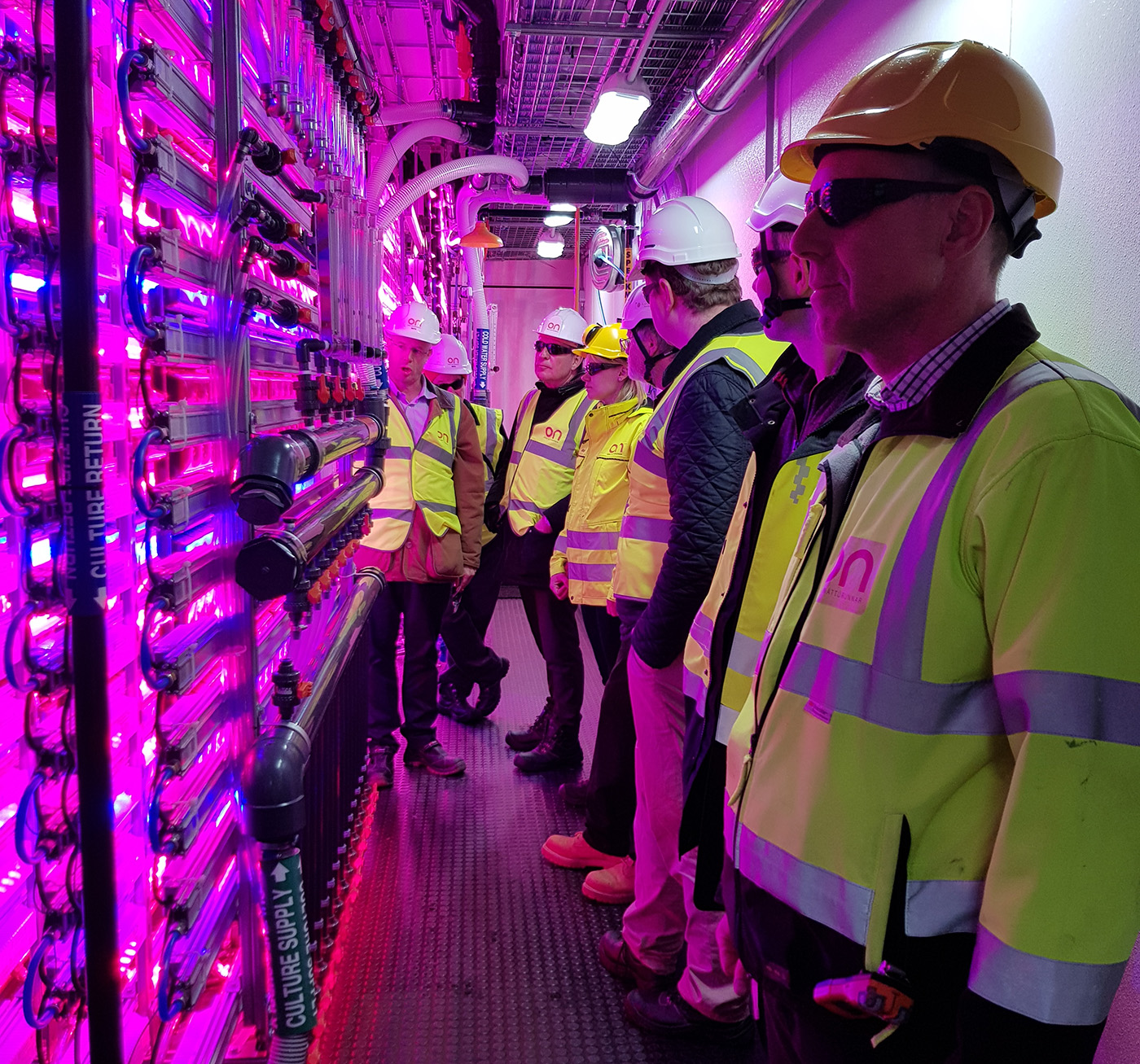 Tilraunast_____inni_web_760312798