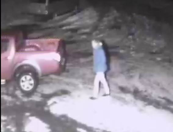 bilidjan_thjofnadur2013_110146624