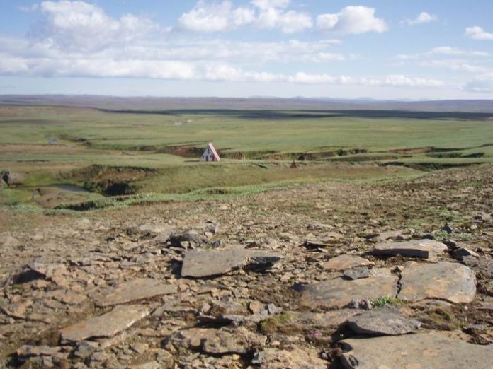 bjarnarlaekjarbotnar_285384040