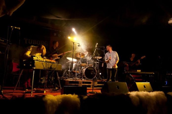 dusty_miller_166792609