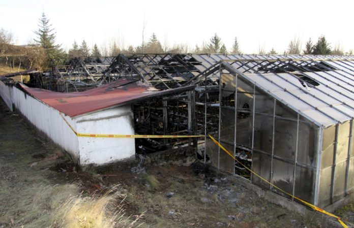 eldur301010gk_922432888