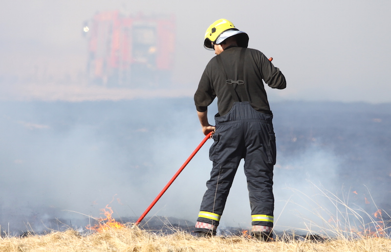 eldur_sina_bar120515gk_283396866