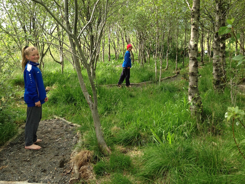 engi_berfotagardur240715jsh_354526403