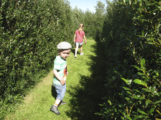 engi_volundarhus230612jsh_357924429