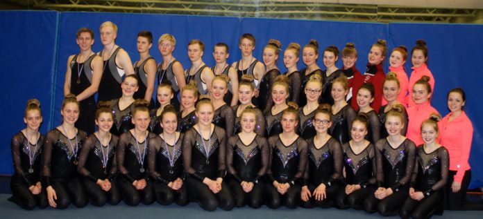 fimleikar_selfoss250414_570790286