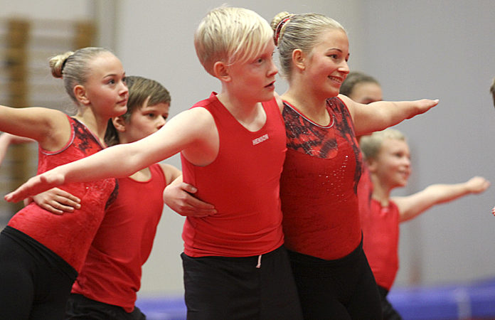 fimleikar_selfossmix2010_578053148