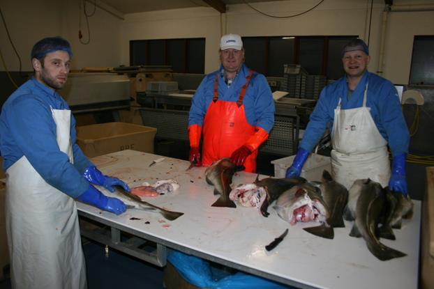 fiskvinnsla_eyrarbakki290113bib_946550424