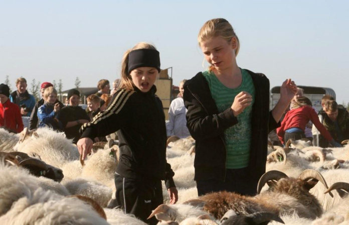 fljotshlidarrett130911sigj_831403334