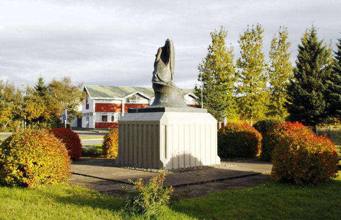 fludir800aldaaldanna_ssigm_374001442