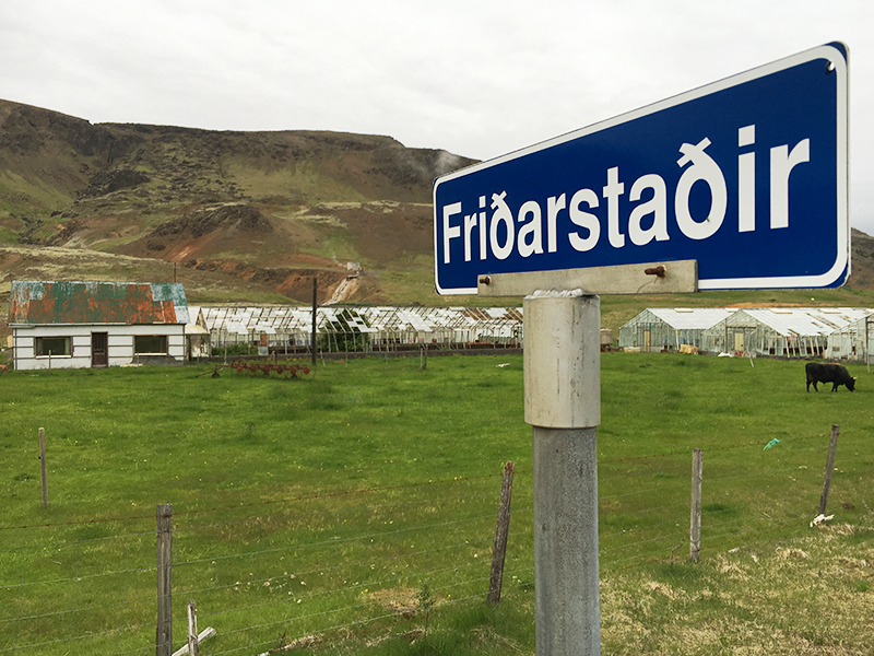 fridarstadir2016gk_633688519