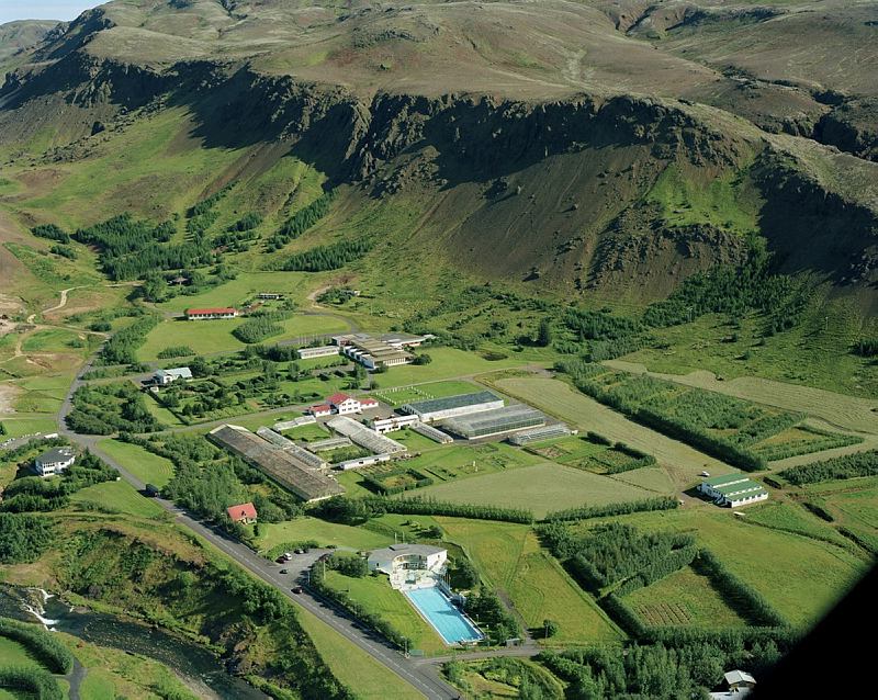 gardyrkjuskolinn2009mats_443607668