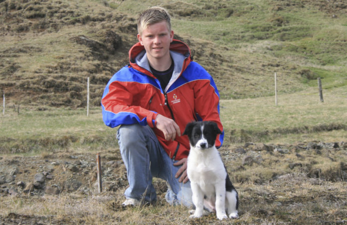 glod_aronkarl2010_542385609