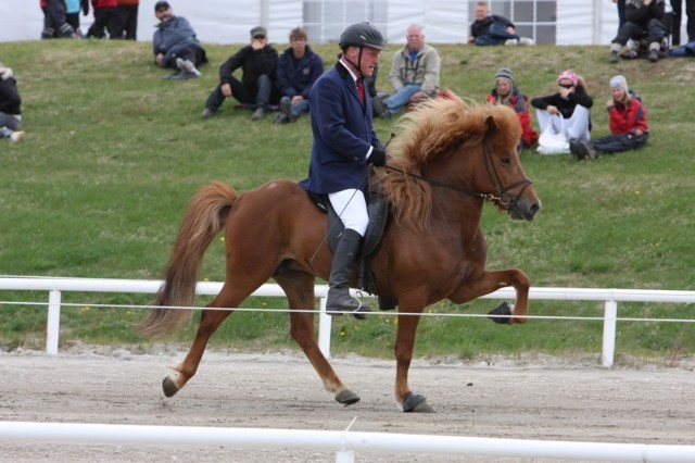 glodafeykir_einaroder_horse_496455861