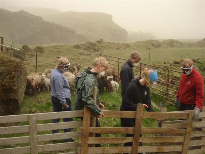 grimsv_aska220511sh_899054204