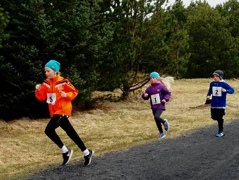 grylupottahlaup2017_834288011