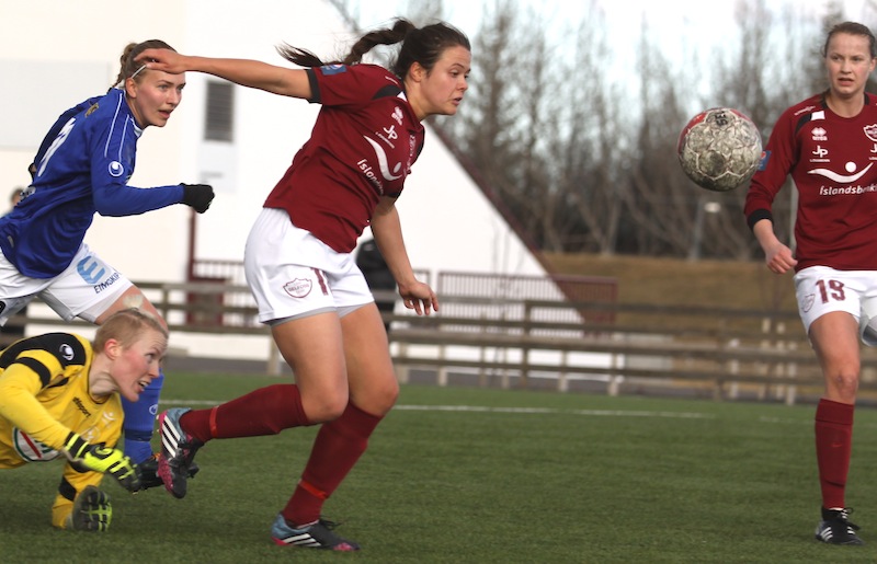 gudmunda_brynja290314gk_203100847