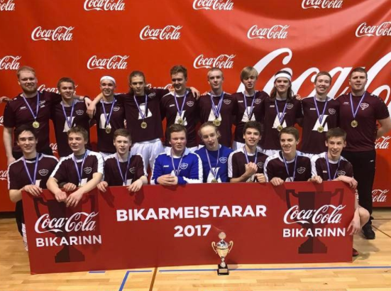 handbolti_bikarmeistarar4fl2001_2017hsi_334646060
