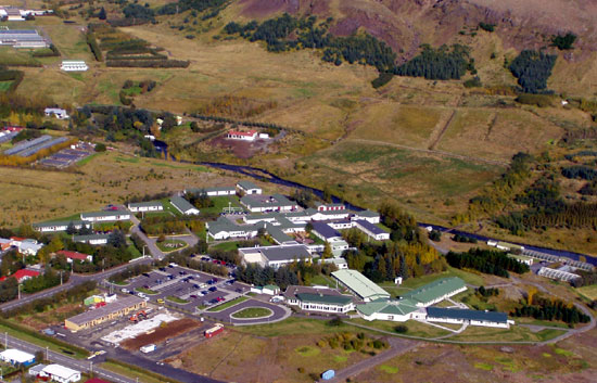 heilsustofnun_478652982