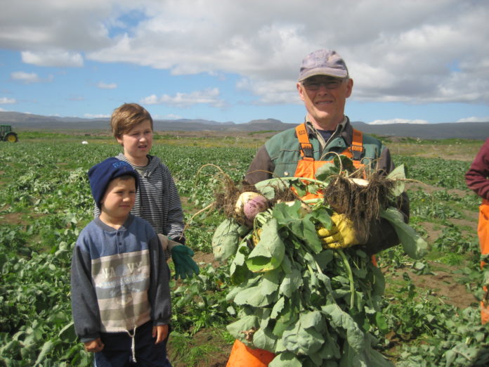 hrafnkell_karlsson110612sg_228979173