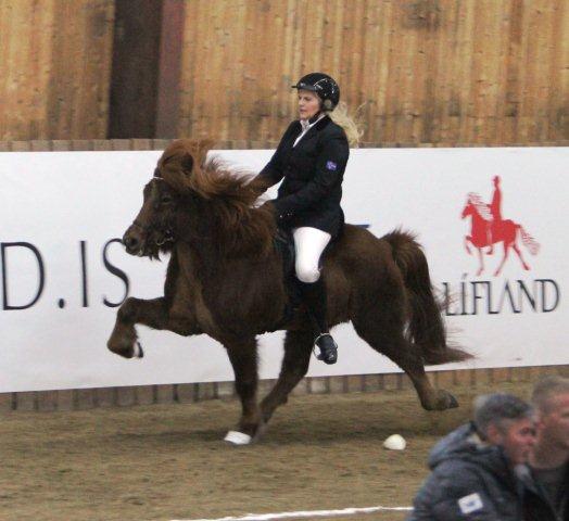 hulda_gustafs_sveigur_hestvit_785631474