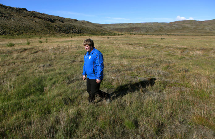 hveragerdi_gervigras_valli2010_596106531