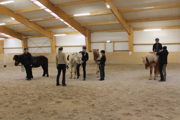 hvolsskoli_hestamennska2013_573321182