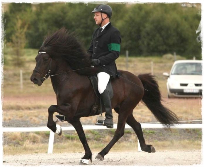 jakob_svavar_486628163