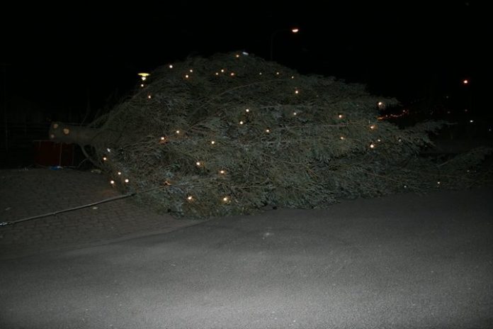 jolatre_selfoss070111svh_440251057