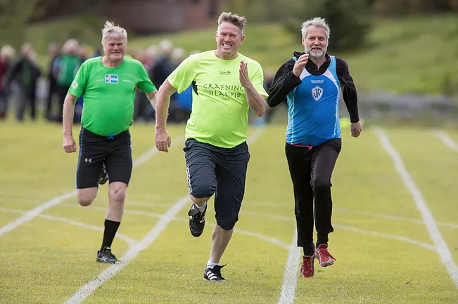 jon_og_petur_frantzsynir2017_184968991