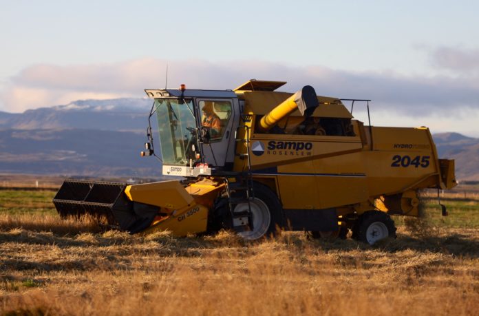 kornskurdur_sandvik280912gk_438674172