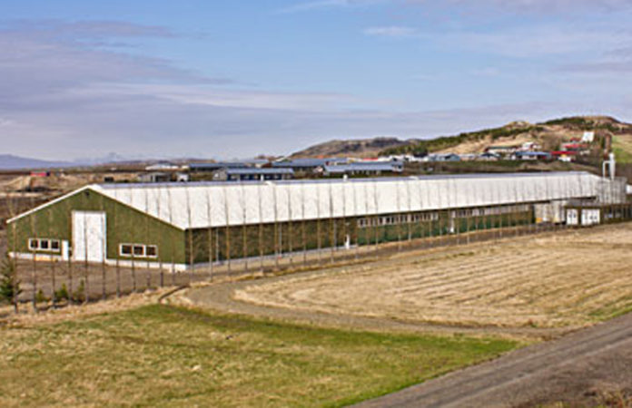 limtre_limtre_945126850