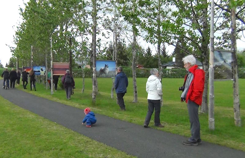 ljosmyndasyning360_2015ry_854884377