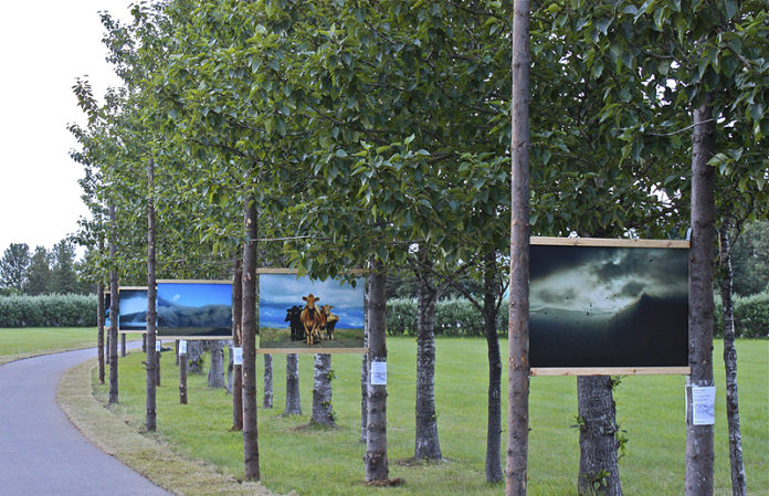 ljosmyndasyning_hvolsv2010fbt_967760069