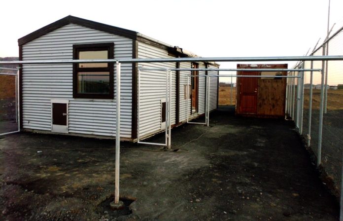 loppukot2013_263317078