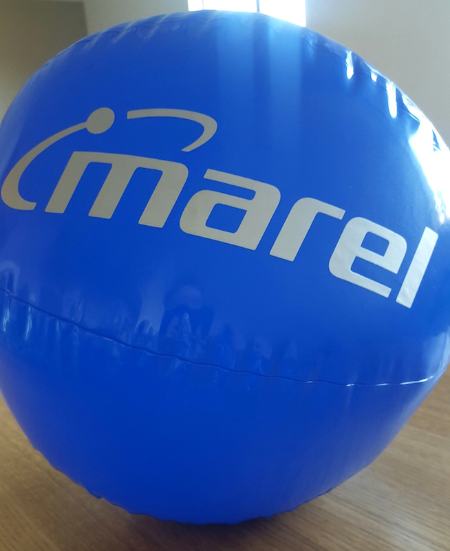 marel_sundbolti_482821899