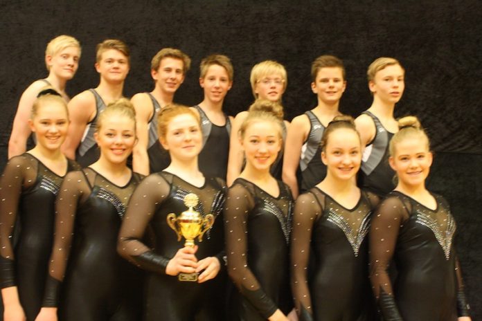 mix_selfossfiml_meist2013_203535181