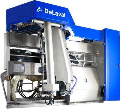 mjaltathjonnVms_924680253