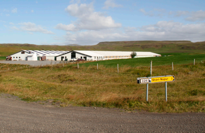 mon_minkahus2012sigm_314509789