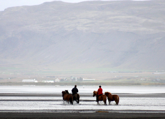 olfusa_hestar_olfus_hraun050909gks_261360423