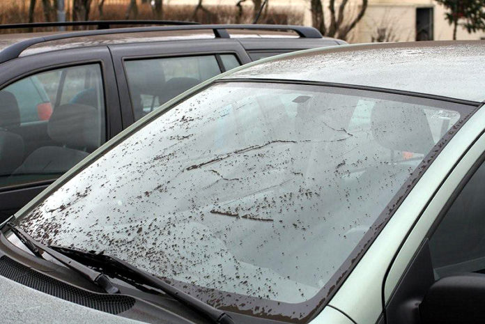 oskufall_billl_hvolsv270410sigjons_534794086